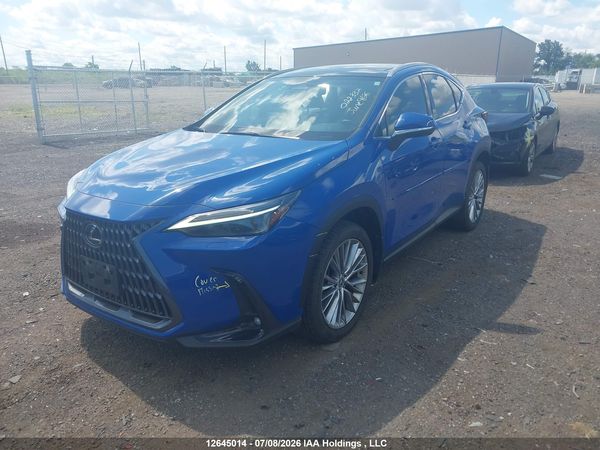 2024 LEXUS NX 350H