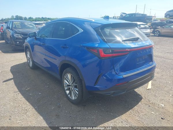 2024 LEXUS NX 350H