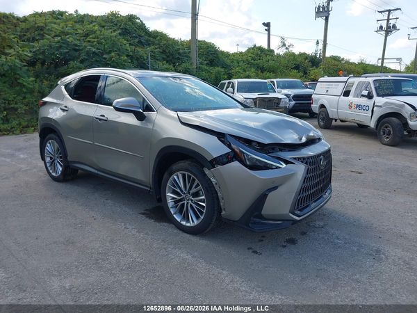 2025 LEXUS NX 350H