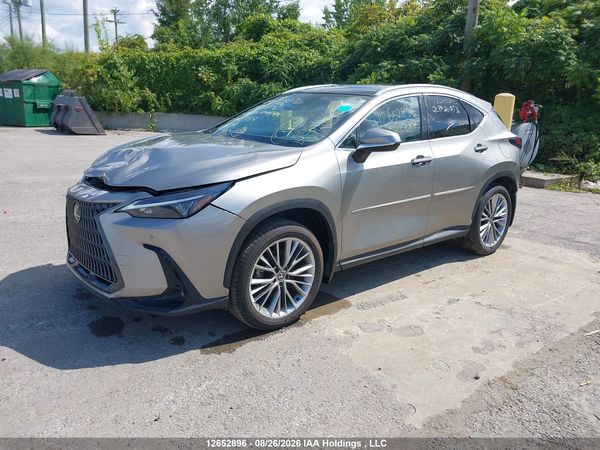 2025 LEXUS NX 350H