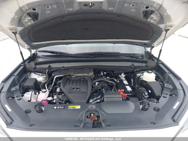 2024 LEXUS TX 350