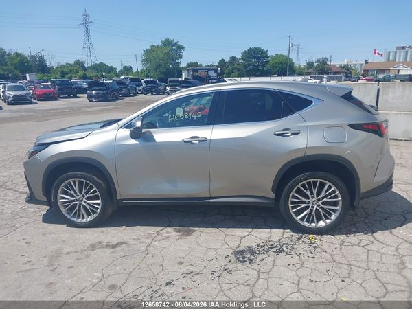 2024 LEXUS NX 350H