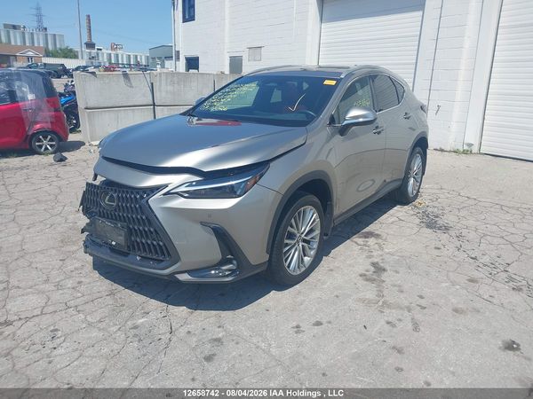 2024 LEXUS NX 350H