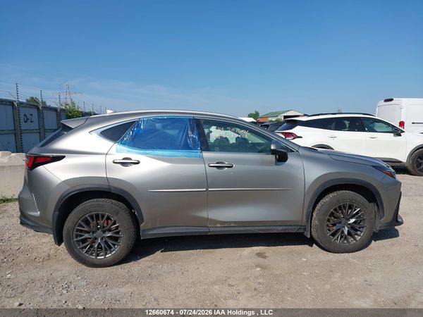 2024 LEXUS NX 350H