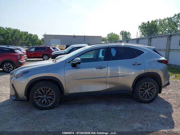 2024 LEXUS NX 350H