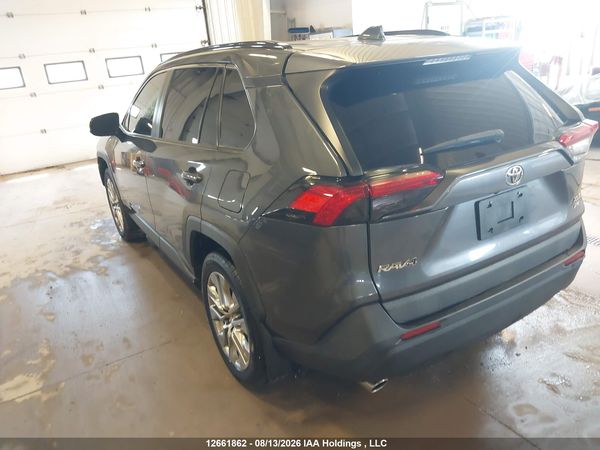 2019 TOYOTA RAV4 XLE/XLE PREMIUM