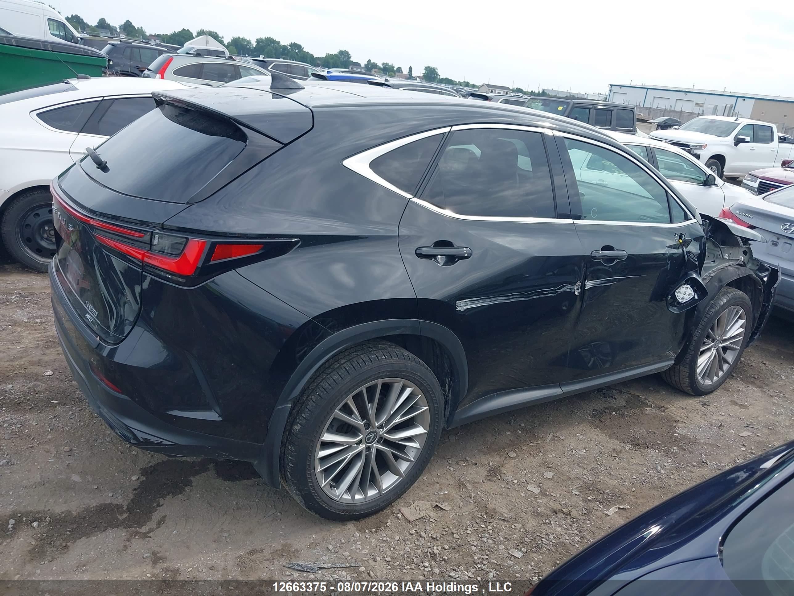 2024 LEXUS NX 350 350 Premium