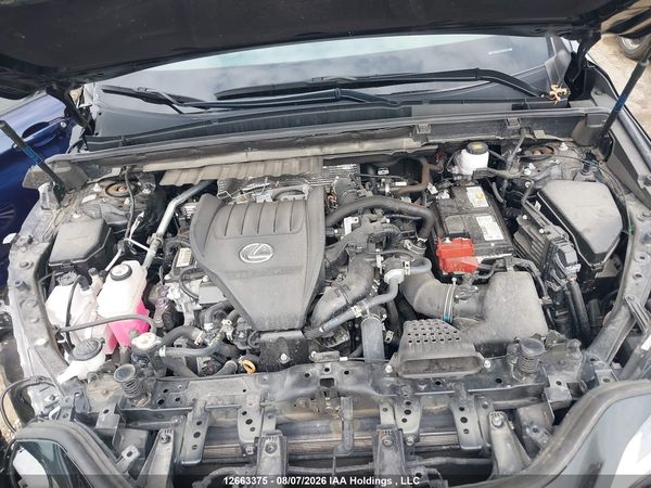 2024 LEXUS NX 350 350 Premium