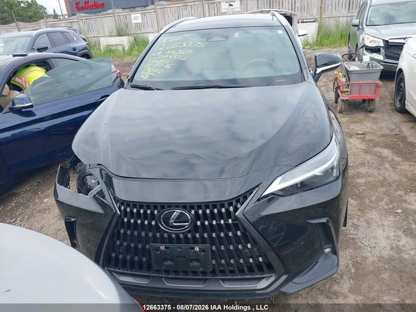 2024 LEXUS NX 350 350 Premium