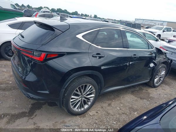 2024 LEXUS NX 350 350 Premium