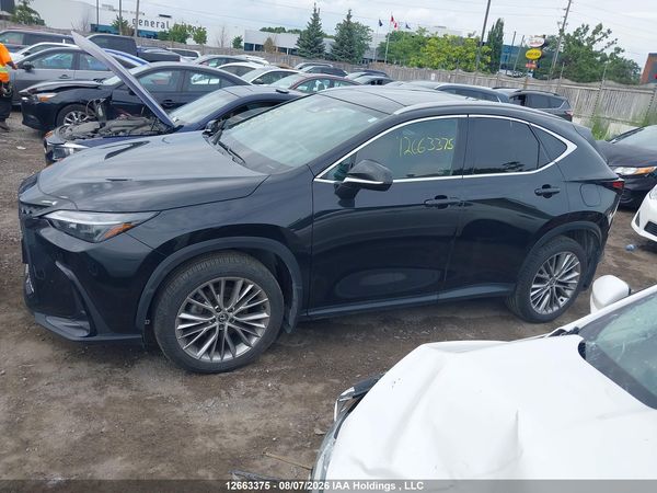 2024 LEXUS NX 350 350 Premium