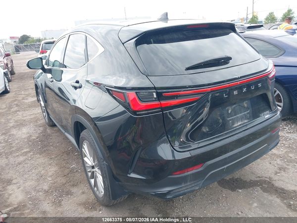 2024 LEXUS NX 350 350 Premium