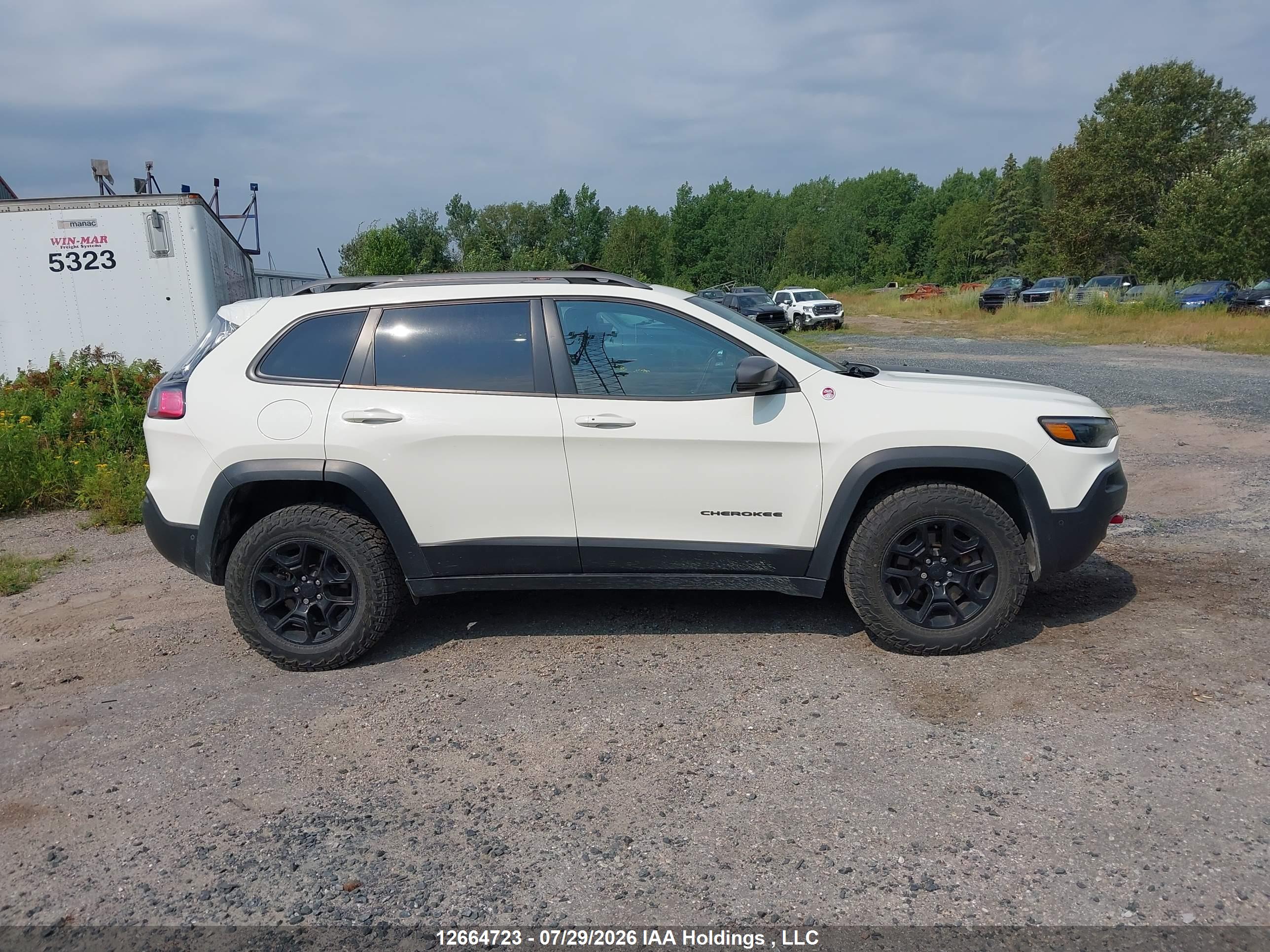 2019 JEEP CHEROKEE TRAILHAWK