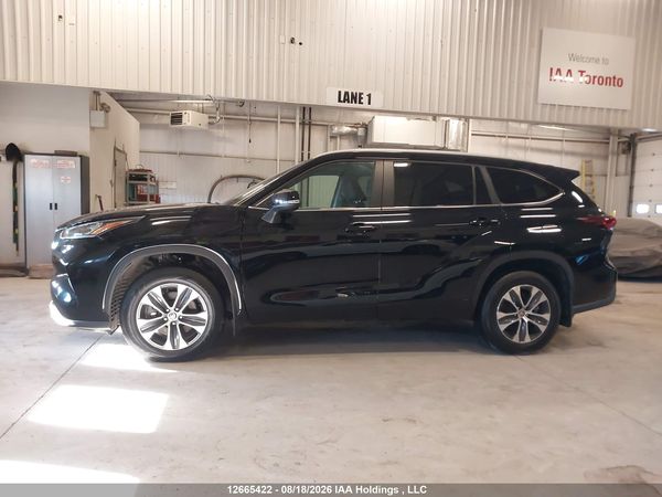 2025 TOYOTA HIGHLANDER xle