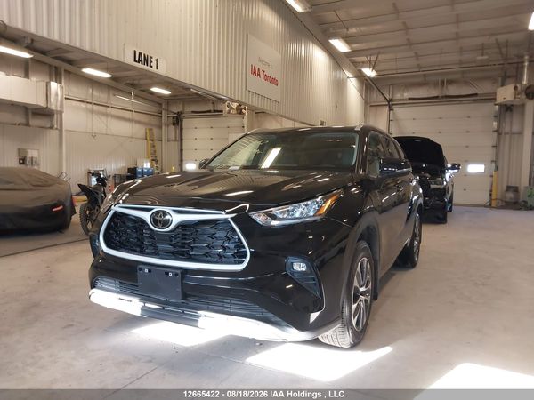 2025 TOYOTA HIGHLANDER xle