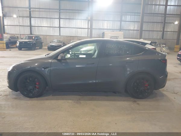 2023 TESLA MODEL Y — I15