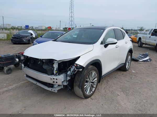 2024 LEXUS NX 350 — I2