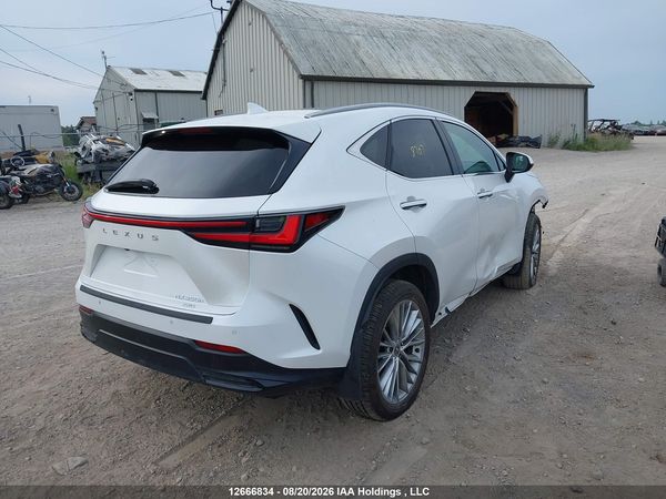 2024 LEXUS NX 350 350 Premium — I4