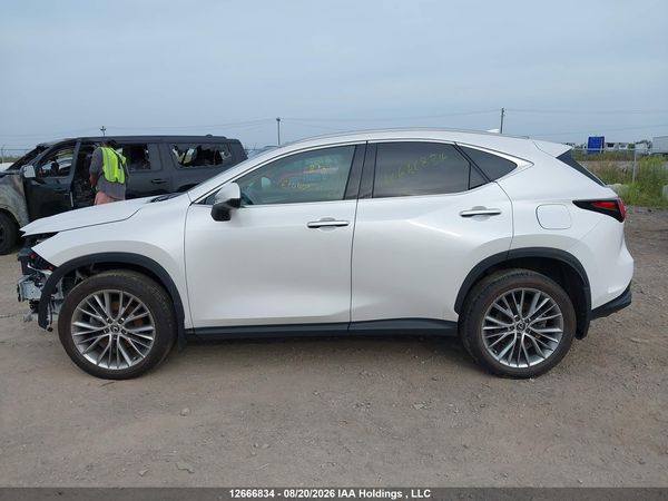 2024 LEXUS NX 350 350 Premium — I15