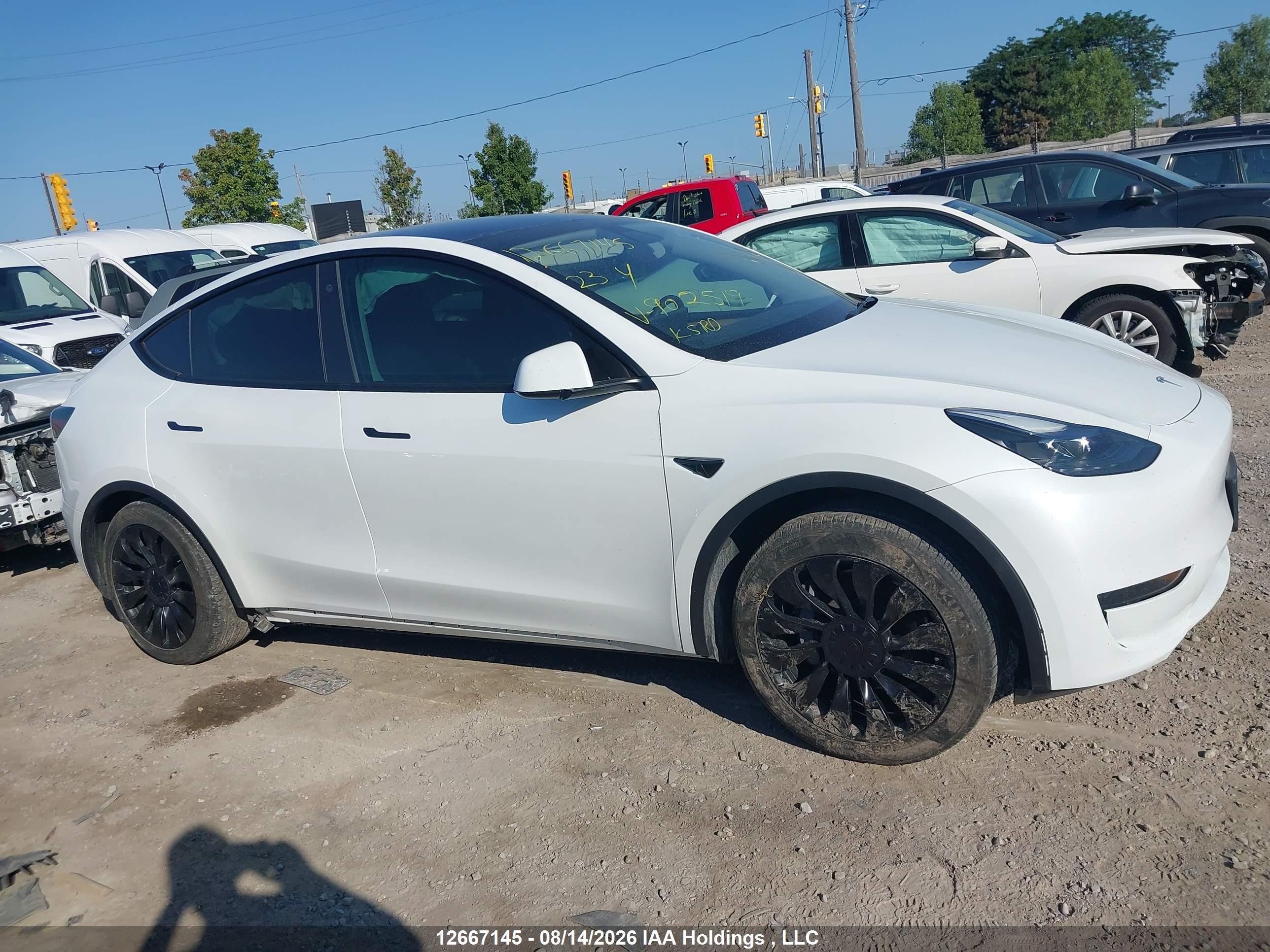 2023 TESLA MODEL Y RWD