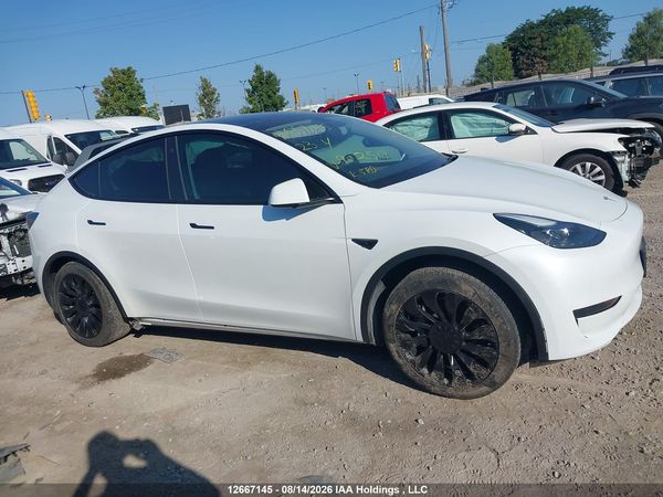 2023 TESLA MODEL Y RWD