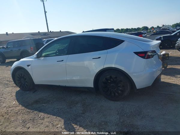 2023 TESLA MODEL Y RWD
