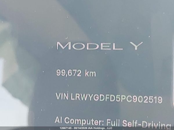 2023 TESLA MODEL Y RWD