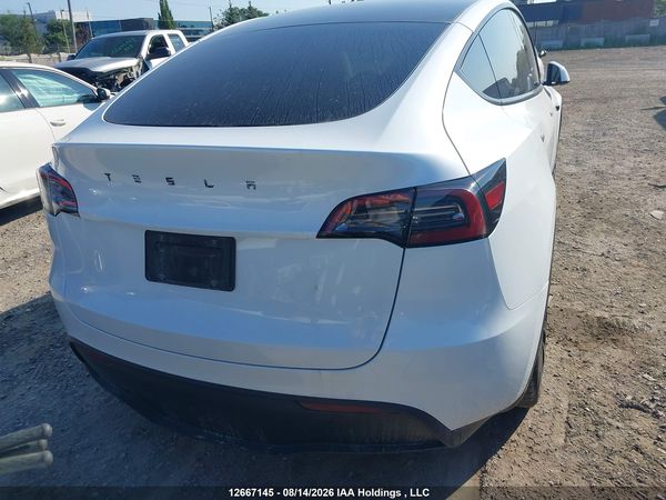 2023 TESLA MODEL Y RWD