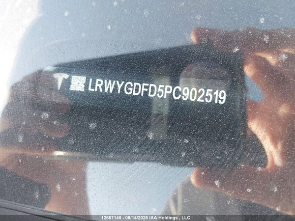 2023 TESLA MODEL Y RWD