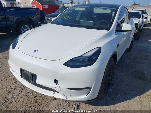 2023 TESLA MODEL Y RWD