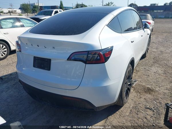 2023 TESLA MODEL Y RWD