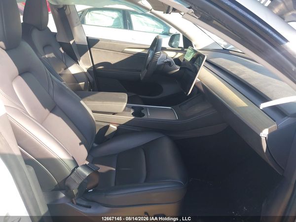 2023 TESLA MODEL Y RWD