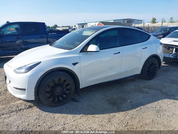 2023 TESLA MODEL Y RWD