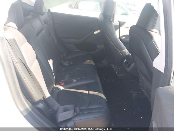 2023 TESLA MODEL Y RWD