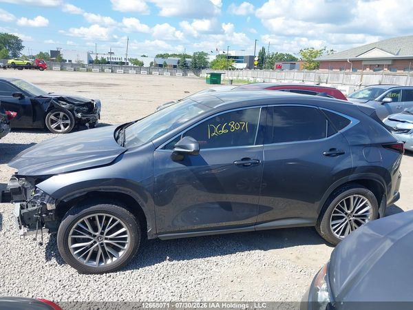 2022 LEXUS NX 350 350 Premium