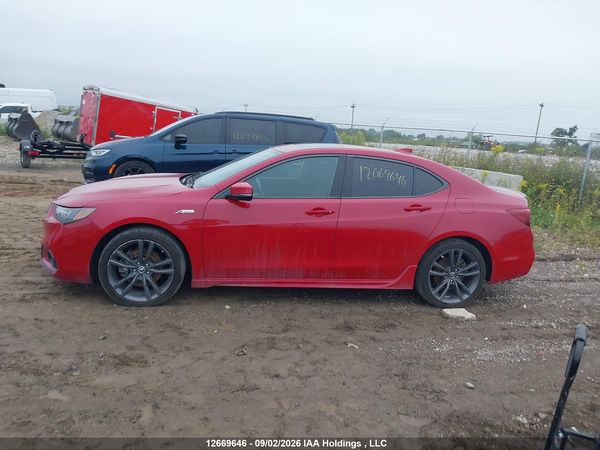 2019 ACURA TLX TECHNOLOGY/A-SPEC