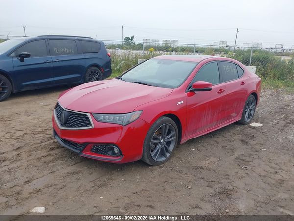 2019 ACURA TLX TECHNOLOGY/A-SPEC