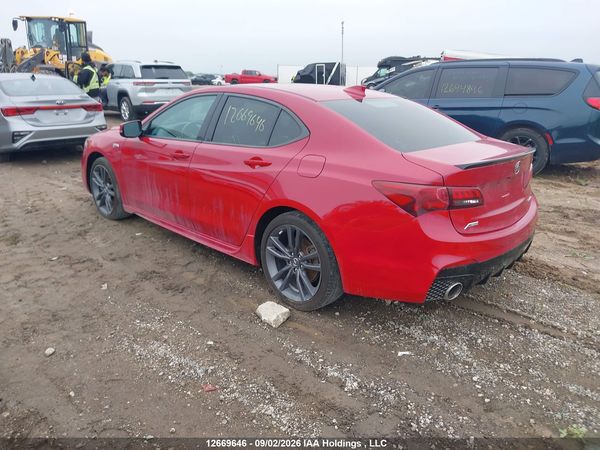 2019 ACURA TLX TECHNOLOGY/A-SPEC