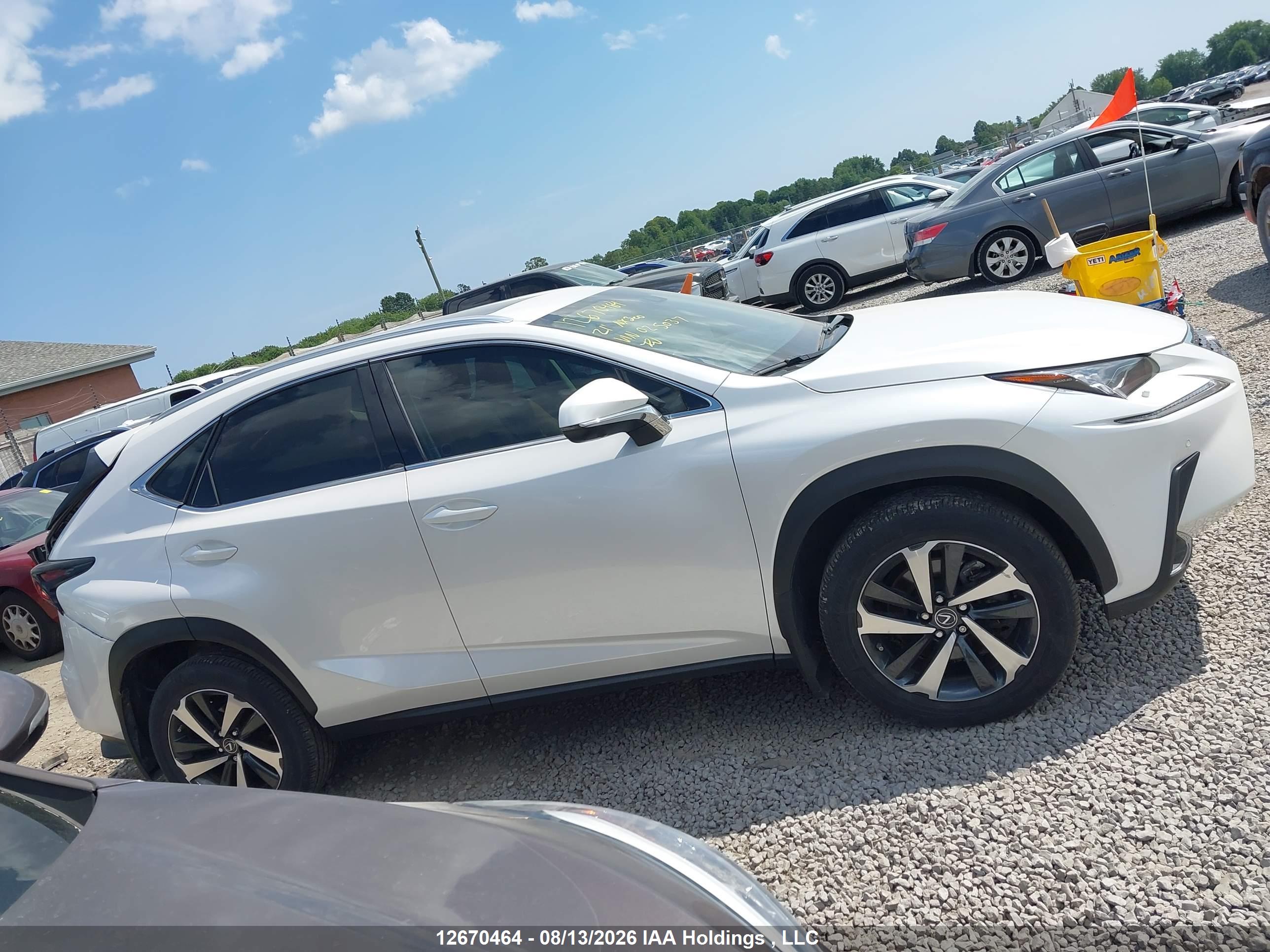2021 LEXUS NX 300 300 Luxury