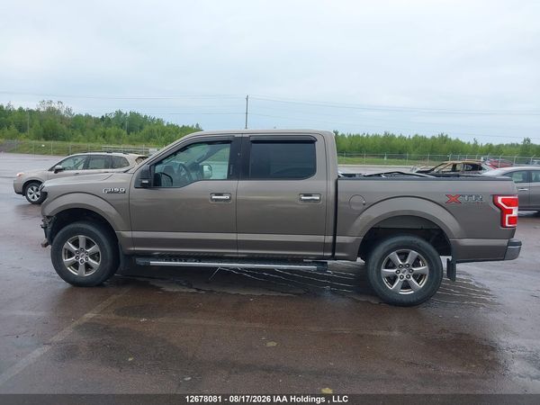 2019 FORD F-150 XLT