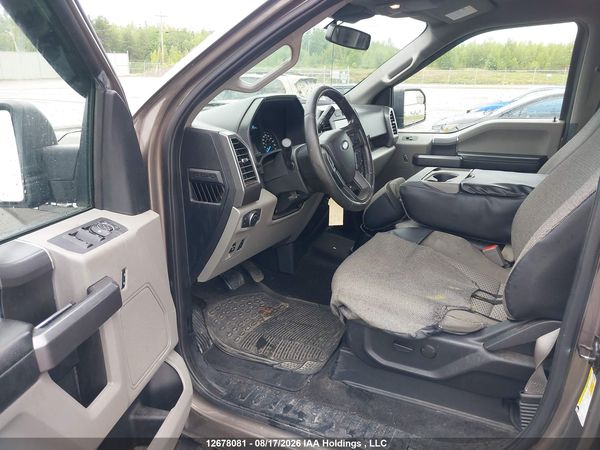 2019 FORD F-150 XLT