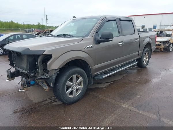 2019 FORD F-150 XLT