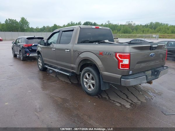 2019 FORD F-150 XLT