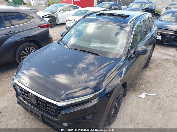 2024 HONDA CR-V Sport