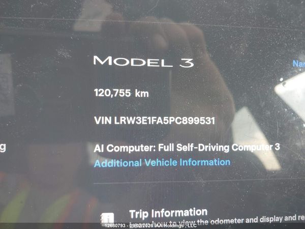 2023 TESLA MODEL 3 RWD
