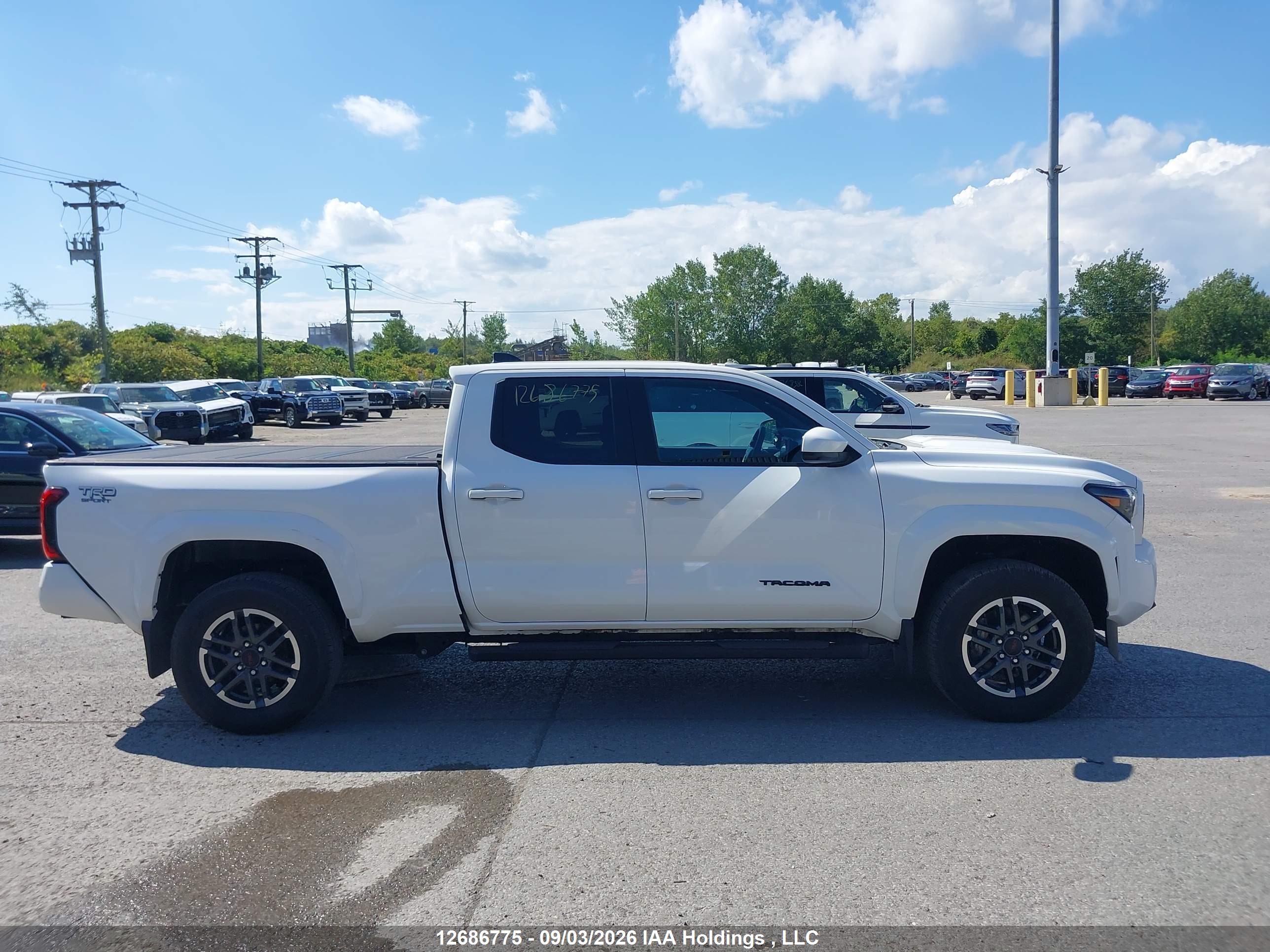 2024 TOYOTA TACOMA
