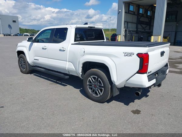 2024 TOYOTA TACOMA