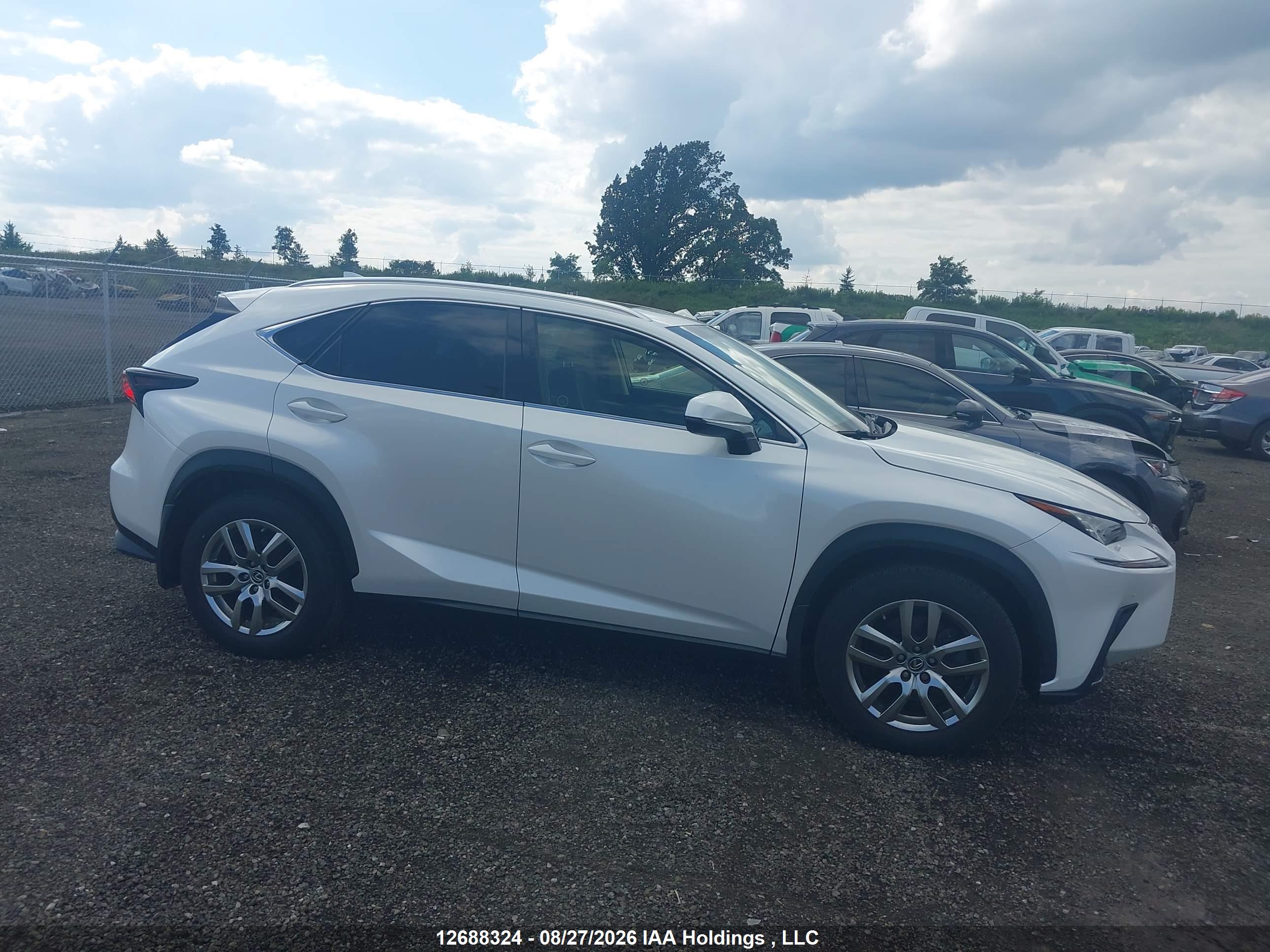 2019 LEXUS NX 300 300 Luxury