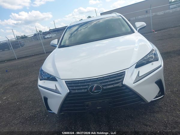2019 LEXUS NX 300 300 Luxury