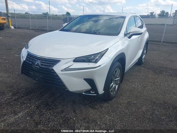 2019 LEXUS NX 300 300 Luxury
